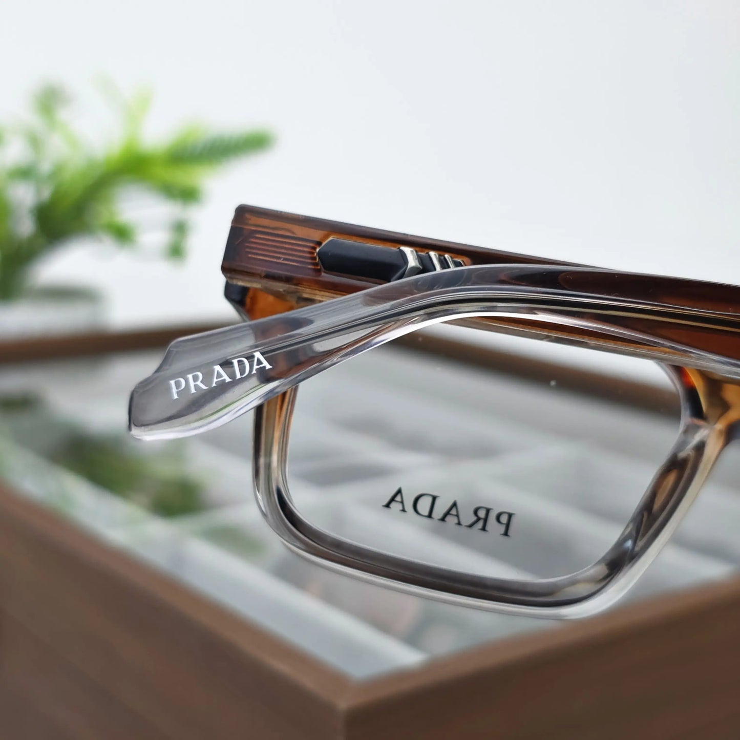 NEVUS HAVANA CRYSTAL