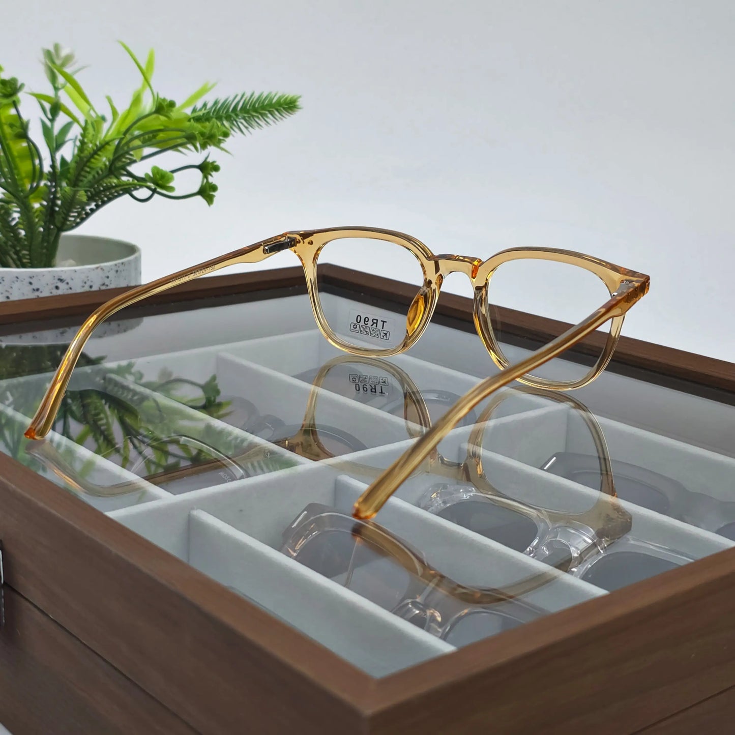 AXIS TRANSPARENT HONEY