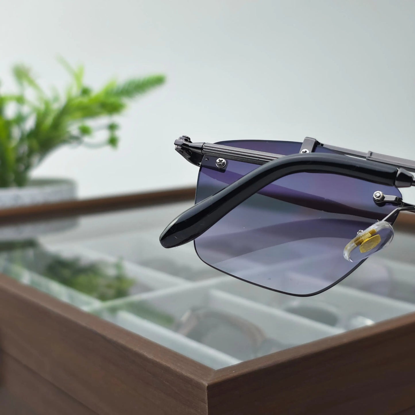 OLEN PURPLE GRADIENT