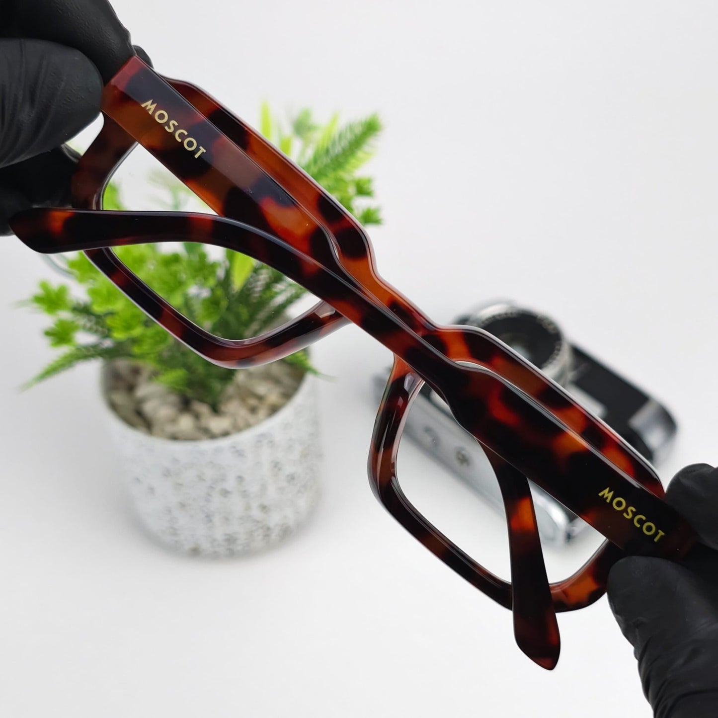 MOSCOT ERIKA TIGRED TRANS LENSSES