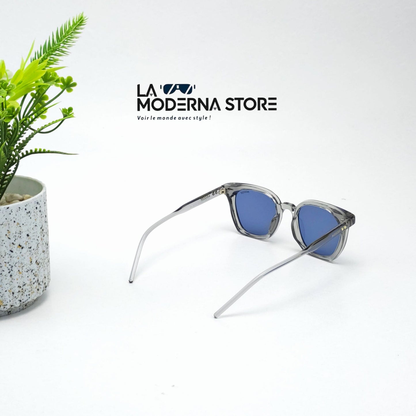 MOSCOT VECTO SKY