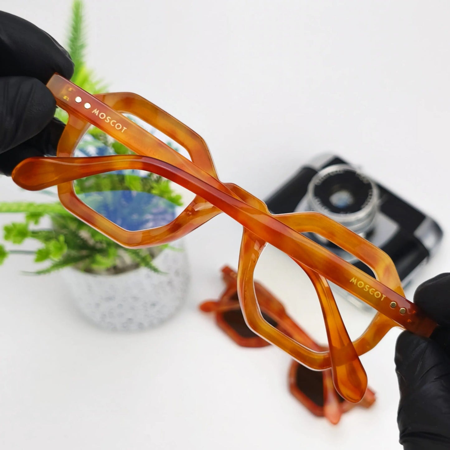 MOSCOT HEXA BROWN TRANS LENSES