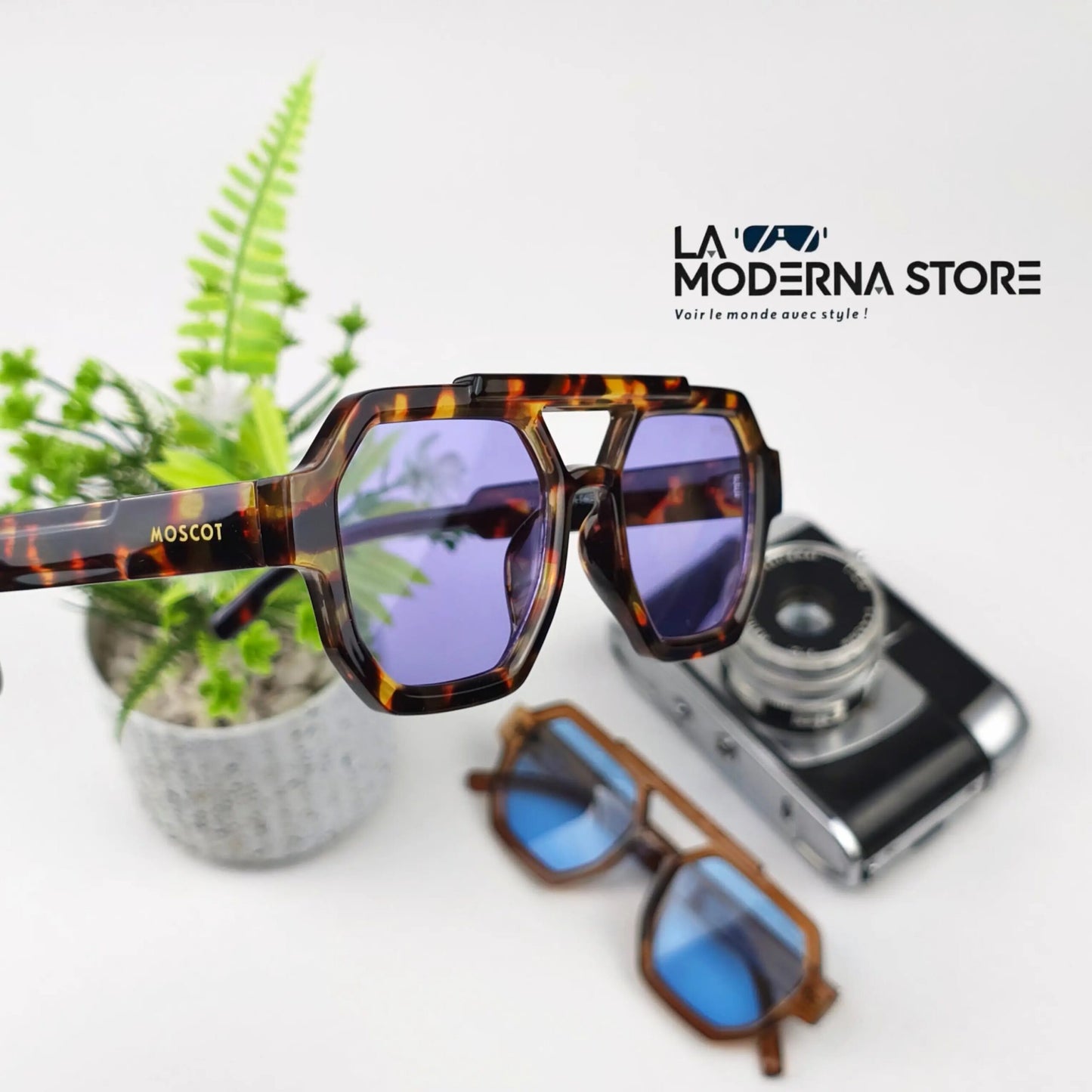 SIVERO TIGRED PURPLE LENSES