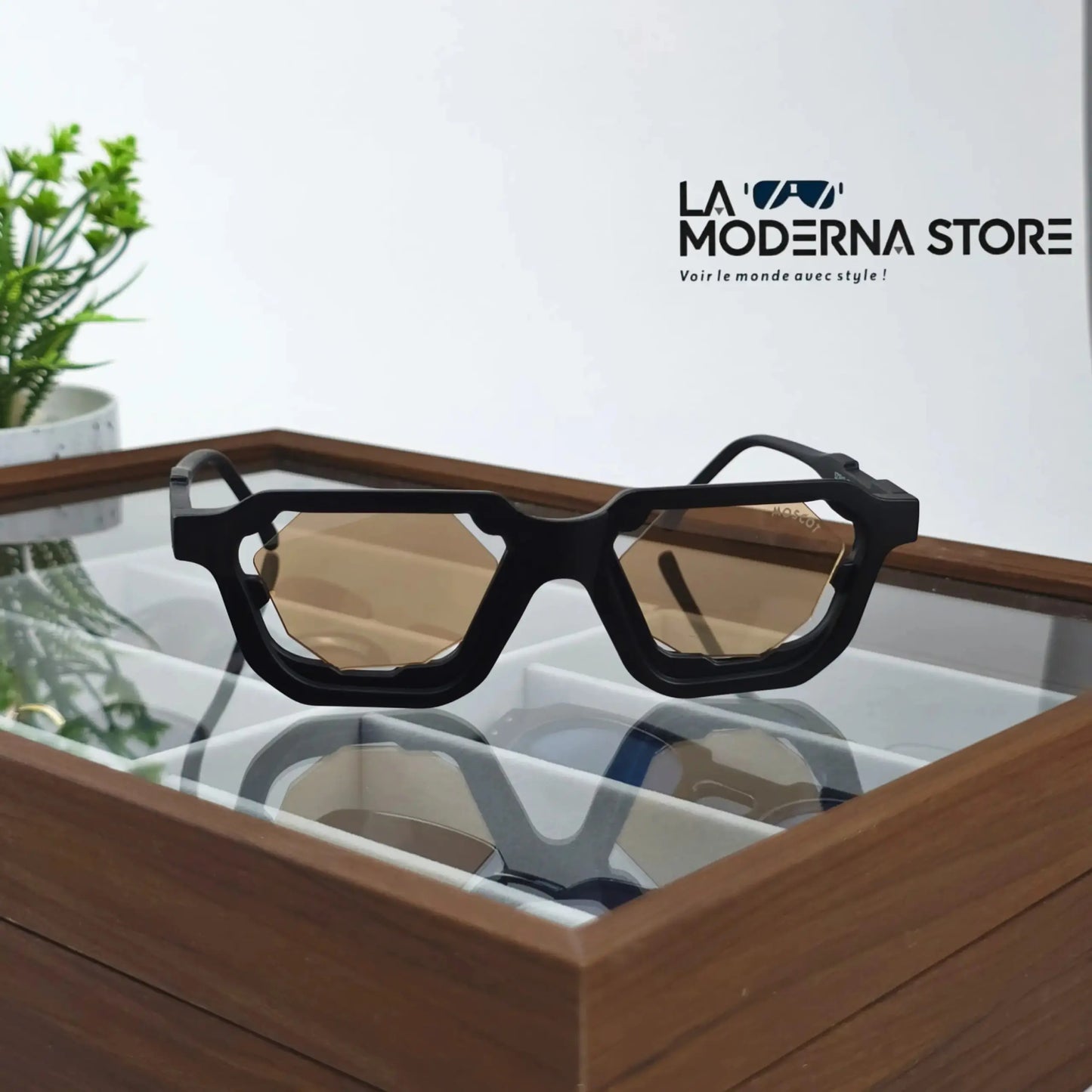 DENVER BLACK BROWN LENSES