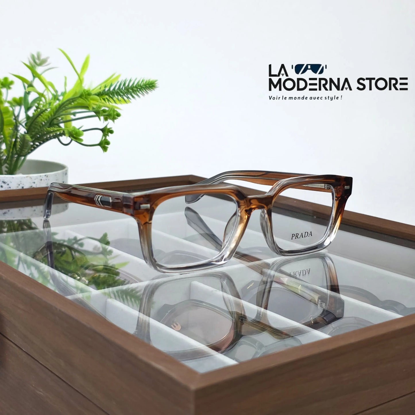 NEVUS HAVANA CRYSTAL