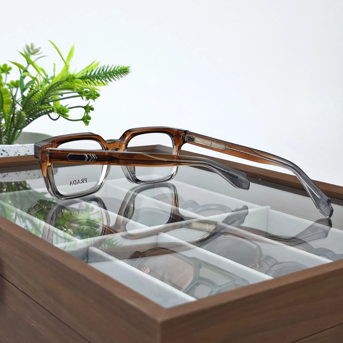 NEVUS HAVANA CRYSTAL