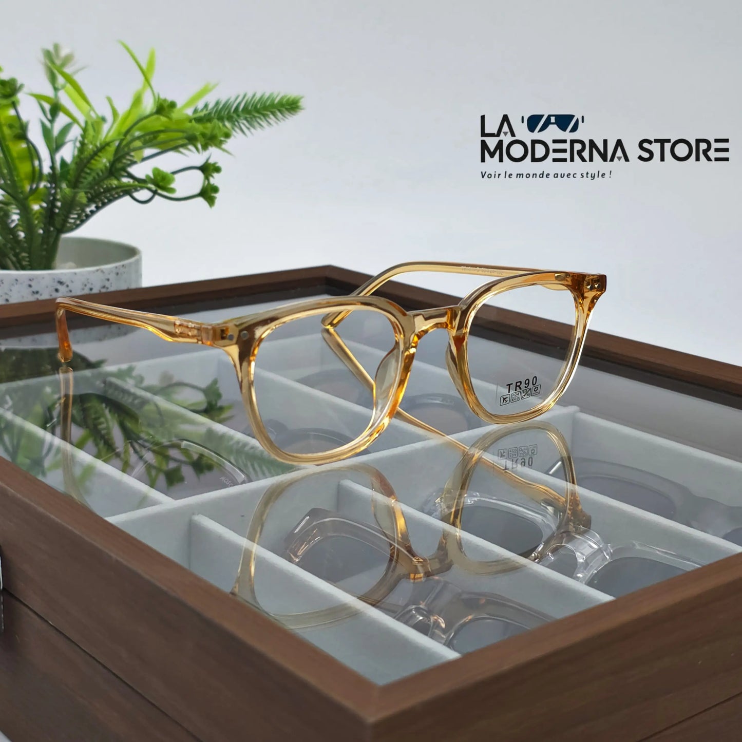 AXIS TRANSPARENT HONEY