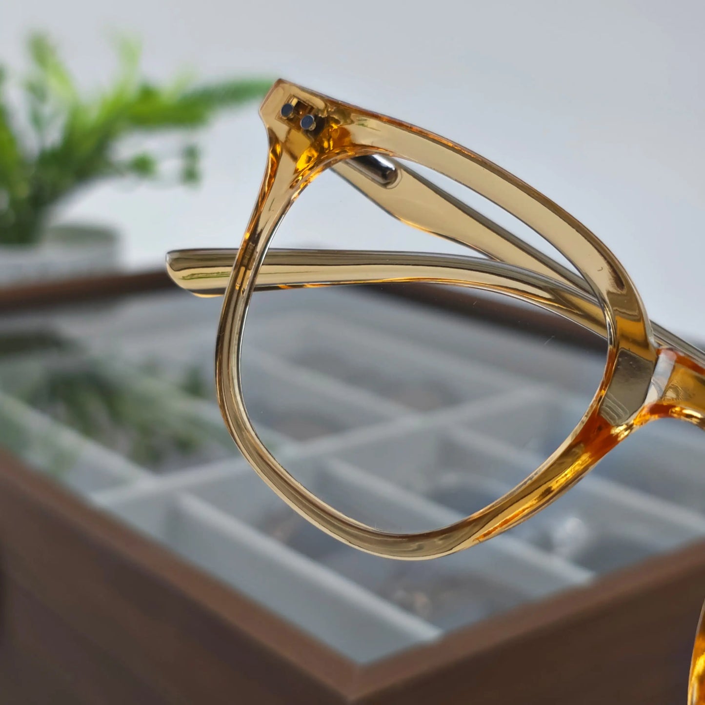 AXIS TRANSPARENT HONEY