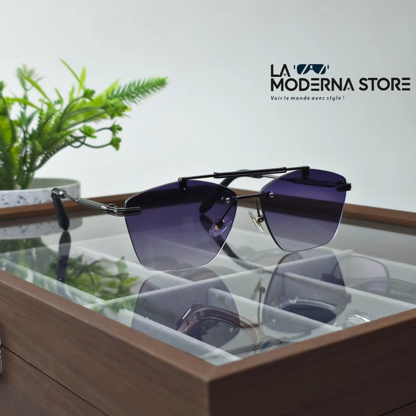 OLEN PURPLE GRADIENT