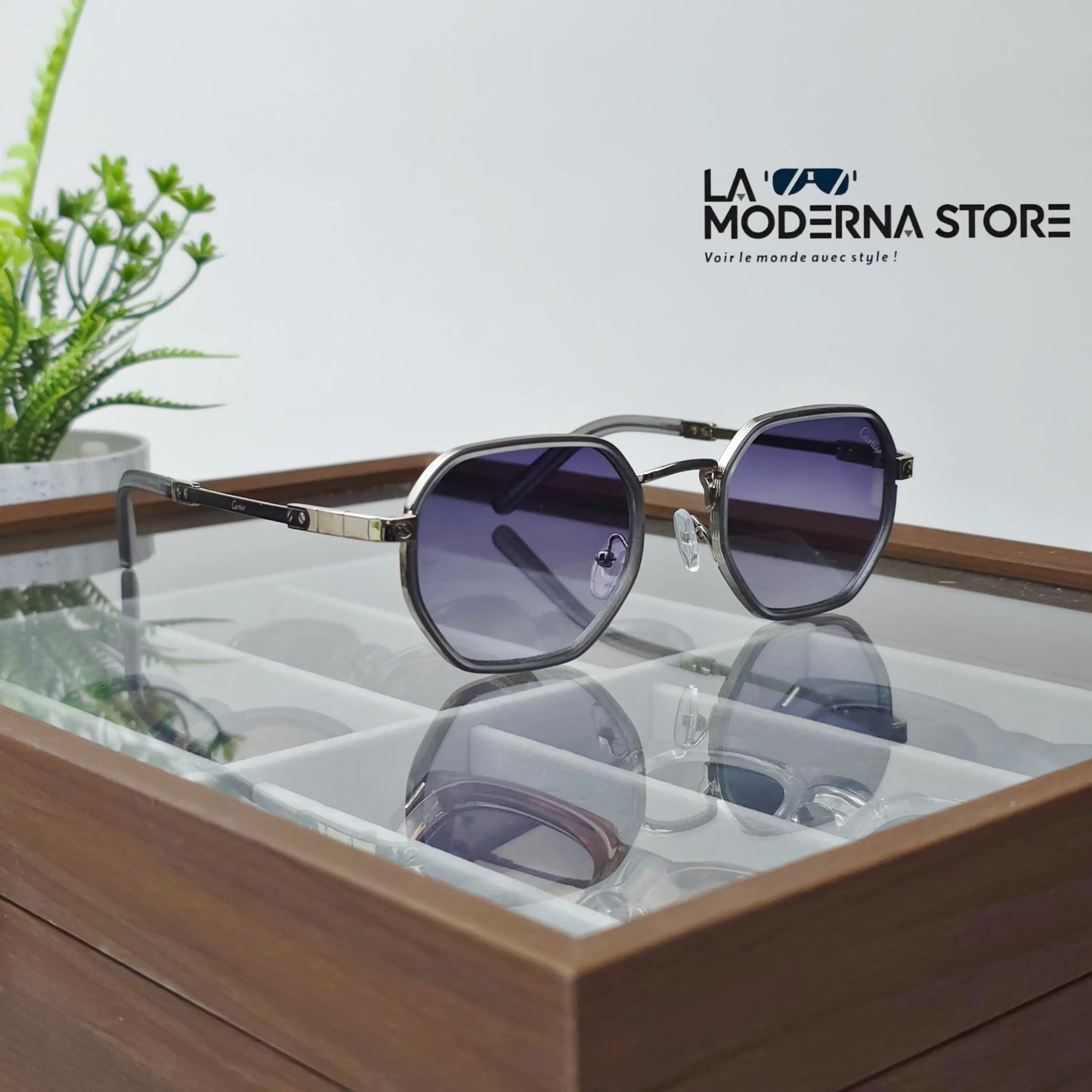 NAPOLI PURPLE GRADIENT