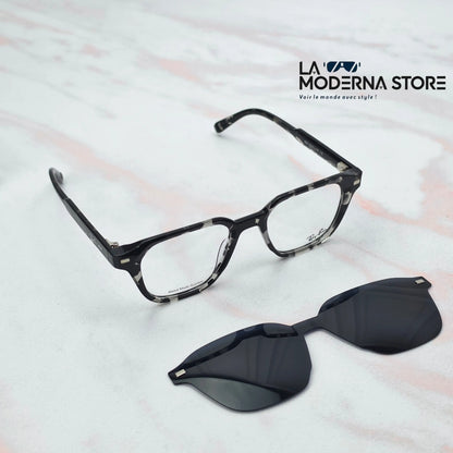 RIFT Grey Tortoise