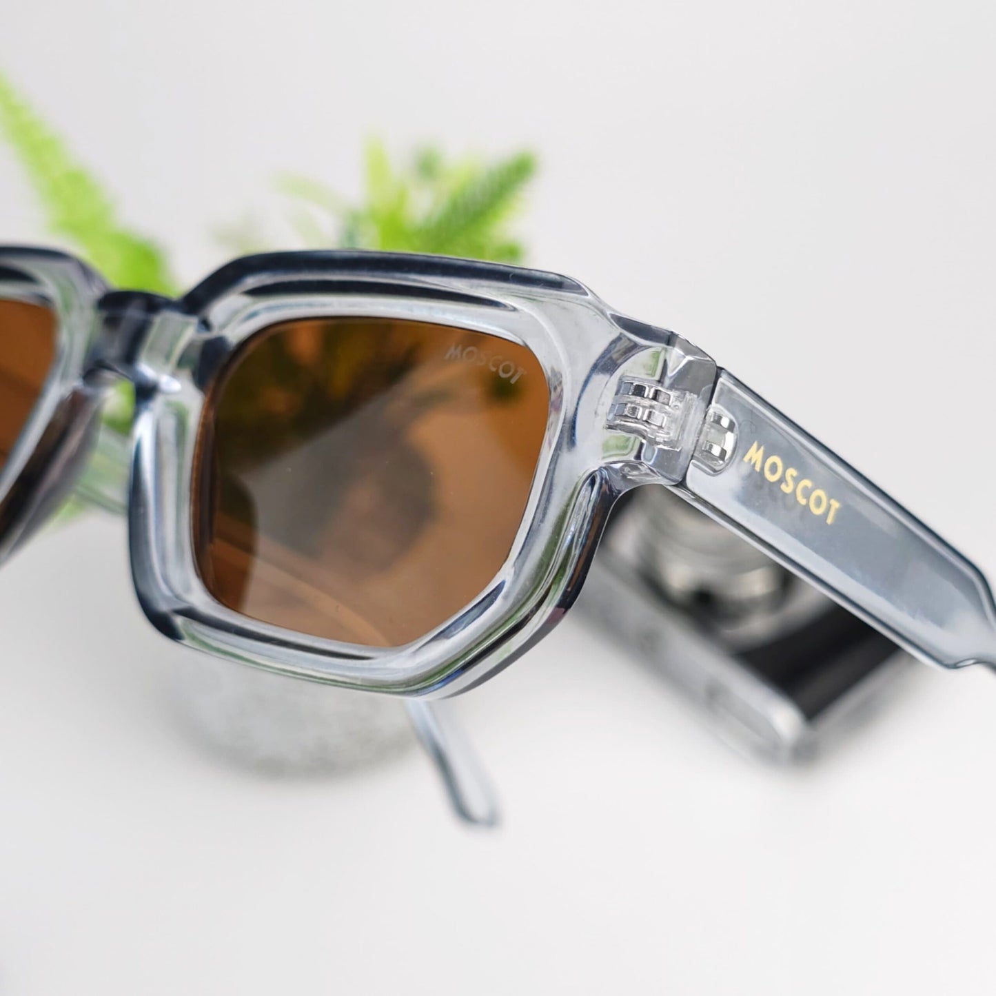 MOSCOT ERIKA TRANS BROWN LENSES