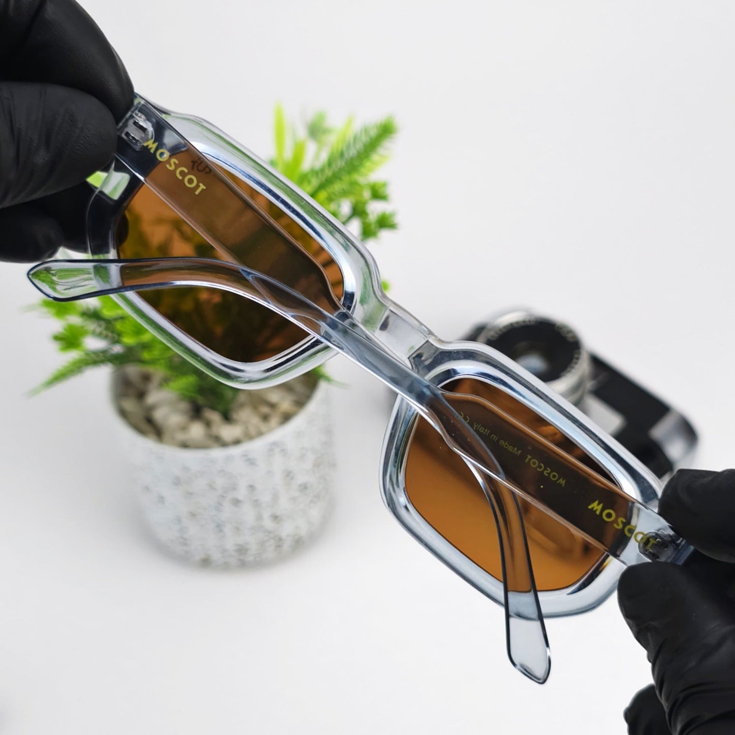 MOSCOT ERIKA TRANS BROWN LENSES