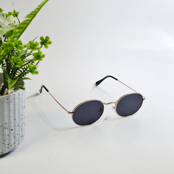 RAYO GOLD FRAME BLACK LENSES