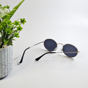 RAYO GOLD FRAME BLACK LENSES